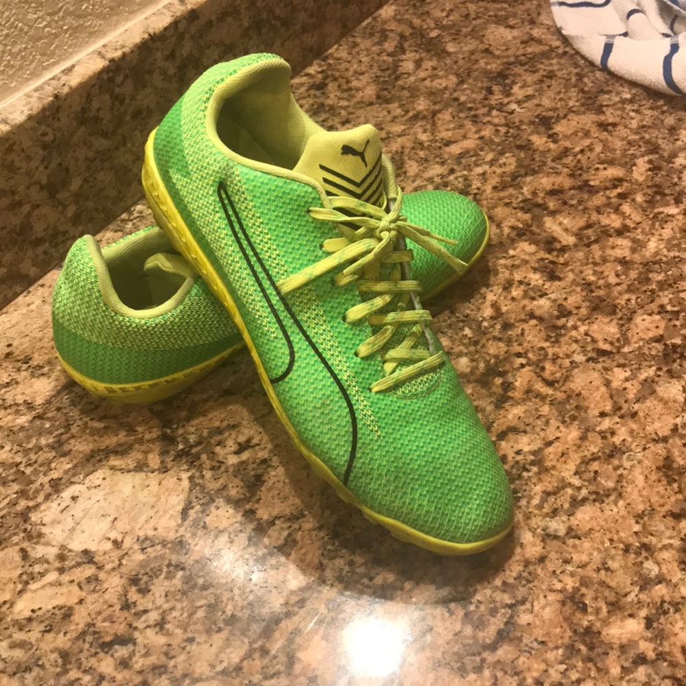 Puma indoors!!!!
